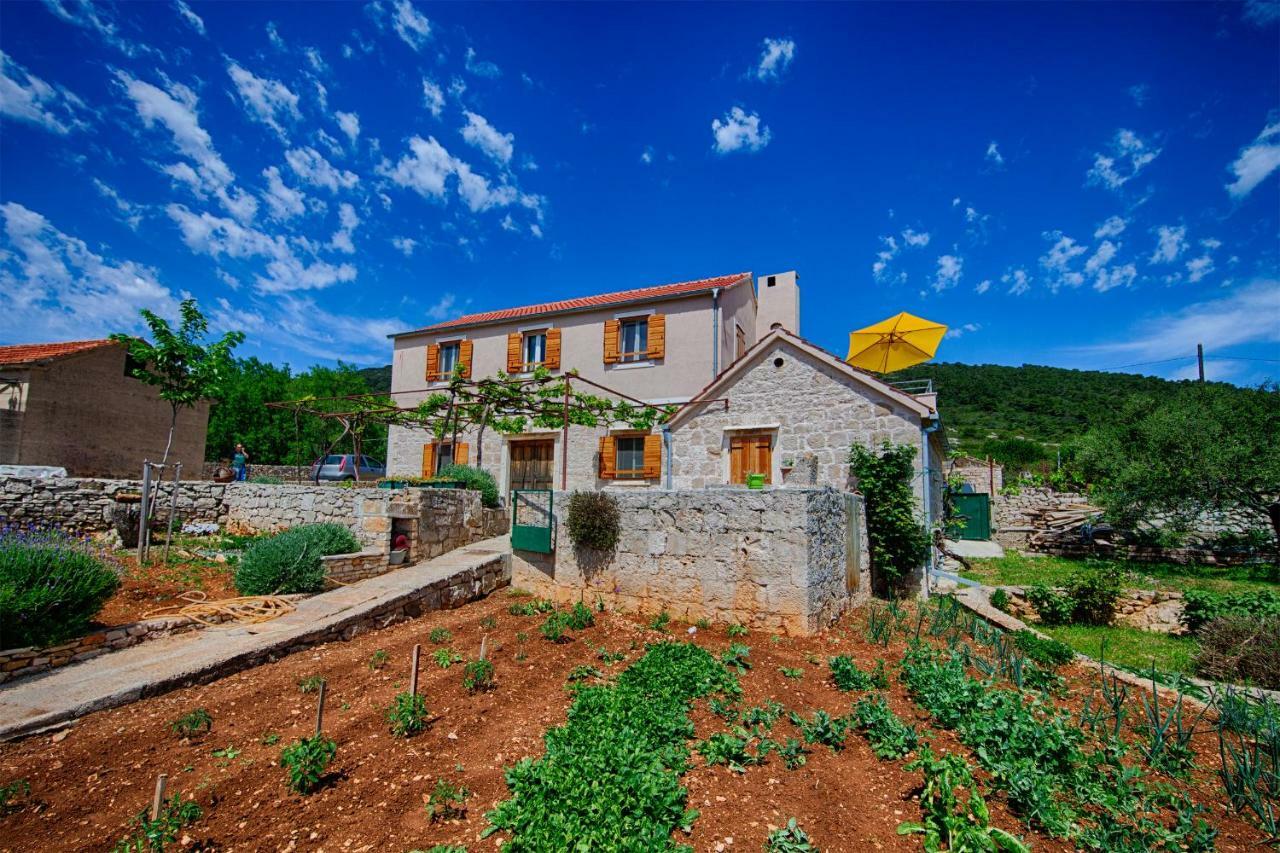Betini Apartments - Authentic Island Escape Komiža Εξωτερικό φωτογραφία
